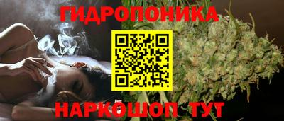 кокс Лесосибирск